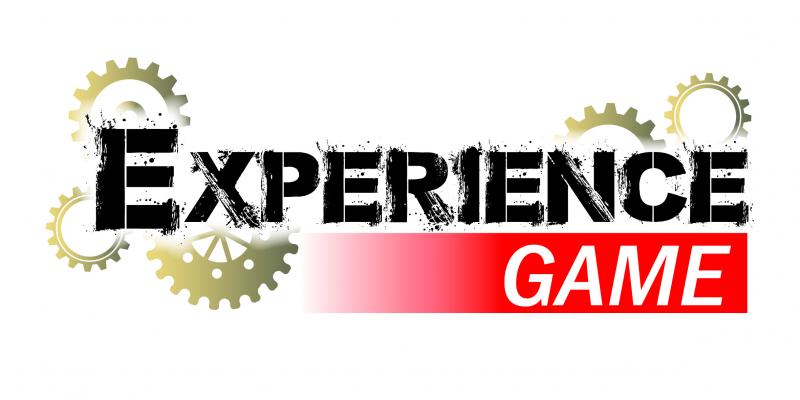 Experience game